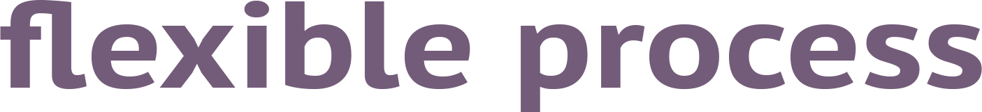 flexible process